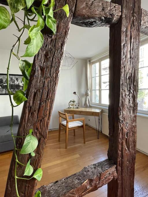 Appartement 2 Chambres Au Coeur De שטרסבורג מראה חיצוני תמונה