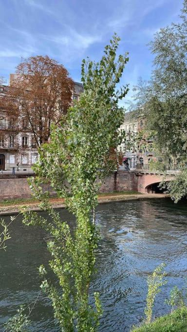 Appartement 2 Chambres Au Coeur De שטרסבורג מראה חיצוני תמונה
